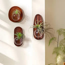 GobekUsa Glass Vase Flowerpot Wall Decoration for Home Décor and Hydroponics
