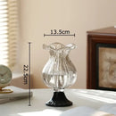 GobekUsa Glass Vase for Hydroponics Plant Pot Room Decor & Flower Arrangement