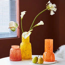 GobekUsa Glass Vase Hydroponic Terrarium Home Decoration Accessories
