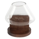 GobekUsa Glass Vase Terrarium Home Decoration Accessory