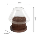 GobekUsa Glass Vase Terrarium Home Decoration Accessory