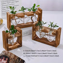 GobekUsa Glass Vase Terrarium with Wooden Frame