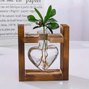 GobekUsa Glass Vase Terrarium with Wooden Frame