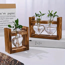 GobekUsa Glass Vase Terrarium with Wooden Frame