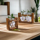 GobekUsa Glass Vase Terrarium with Wooden Frame