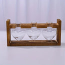 GobekUsa Glass Vase Terrarium with Wooden Frame