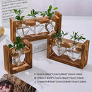 Rustic heart hydroponic plant glass vase living room decor by Decorbites