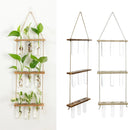 GobekUsa Glass Wall Hanging Planters with Wooden Holder