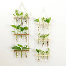 GobekUsa Glass Wall Hanging Planters with Wooden Holder