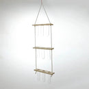 GobekUsa Glass Wall Hanging Planters with Wooden Holder by Decorbites