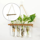 GobekUsa Glass Wall Hanging Planters with Wooden Holder by Decorbites