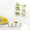 GobekUsa Glass Wall Hanging Planters with Wooden Holder by Decorbites