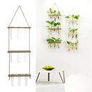 GobekUsa Glass Wall Hanging Planters with Wooden Holder by Decorbites