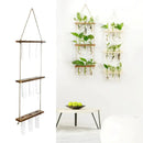 GobekUsa Glass Wall Hanging Planters with Wooden Holder by Decorbites