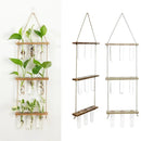 GobekUsa Glass Wall Hanging Planters with Wooden Holder by Decorbites