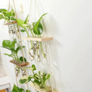 GobekUsa Glass Wall Hanging Planters with Wooden Holder by Decorbites