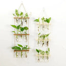 GobekUsa Glass Wall Hanging Planters with Wooden Holder by Decorbites