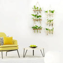 GobekUsa Glass Wall Hanging Planters with Wooden Holder by Decorbites