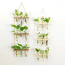 GobekUsa Glass Wall Hanging Planters with Wooden Holder by Decorbites
