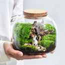 GobekUsa Green Moss Glass Vase Terrarium Container