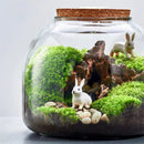 GobekUsa Green Moss Glass Vase Terrarium Container