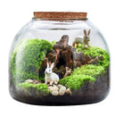 GobekUsa Green Moss Glass Vase Terrarium Container