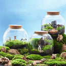 GobekUsa Green Moss Glass Vase Terrarium Container
