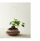GobekUsa Handcrafted Ceramic Vase for Flowers