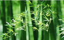 GobekUsa Handcrafted Chinese Bamboo Pendant Lamp by Decorbites
