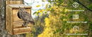 GobekUsa Handmade Wooden Screech Owl House - Outdoor Nesting Box