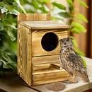 GobekUsa Handmade Wooden Screech Owl House - Outdoor Nesting Box