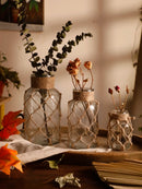 GobekUsa Hanging Glass Vase with Hemp Rope - Rustic Home Decor