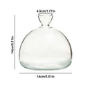 GobekUsa "Hydroponic Avocado Seed Cultivation Vase"