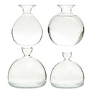GobekUsa "Hydroponic Avocado Seed Cultivation Vase"