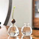 GobekUsa "Hydroponic Avocado Seed Cultivation Vase"