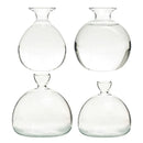 GobekUsa "Hydroponic Avocado Seed Cultivation Vase"