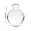GobekUsa "Hydroponic Avocado Seed Cultivation Vase"