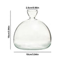 GobekUsa "Hydroponic Avocado Seed Cultivation Vase"