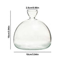 GobekUsa "Hydroponic Avocado Seed Cultivation Vase"