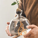 GobekUsa "Hydroponic Avocado Seed Cultivation Vase"