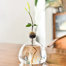 GobekUsa Hydroponic Avocado Starter Kit - Gift-ready