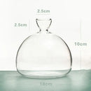 Clear glass hydroponic avocado starter kit kitchen decor growing vase