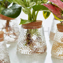 GobekUsa Hydroponic Glass Flower Pots - Set of 2