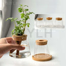GobekUsa Hydroponic Glass Flower Pots - Set of 2