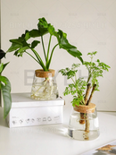 GobekUsa Hydroponic Glass Flower Pots - Set of 2