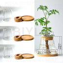 GobekUsa Hydroponic Glass Flower Pots - Set of 2