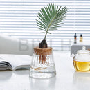 GobekUsa Hydroponic Glass Flower Pots - Set of 2