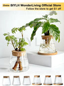 GobekUsa Hydroponic Glass Flower Pots - Set of 2