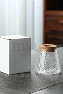 GobekUsa Hydroponic Glass Flower Pots - Set of 2