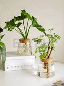 Modern clear glass flower pots with wood base living room planters by Decorbites